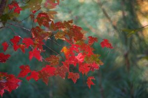 Managing change