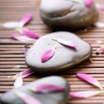 Petals on stones