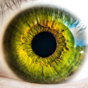 Eye Movement Desensitisation and Reprocessing (EMDR)