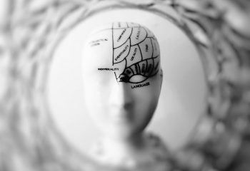 Brain