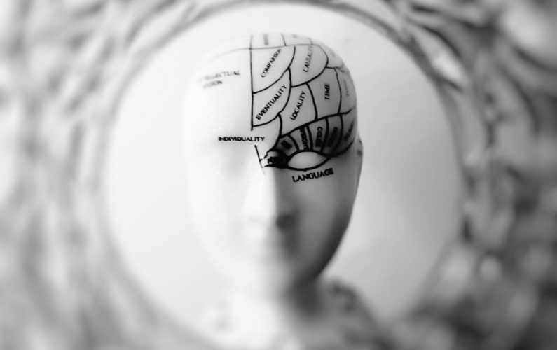 Brain
